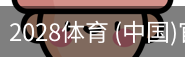 2028体育